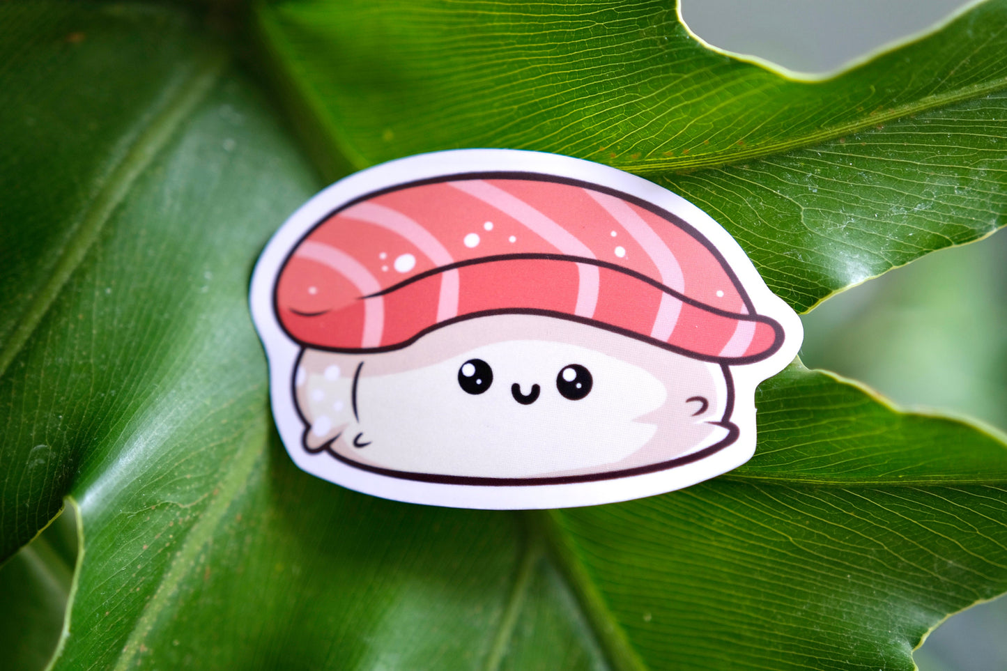 Salmon Nigiri Vinyl Sticker, Cute nurse stickers