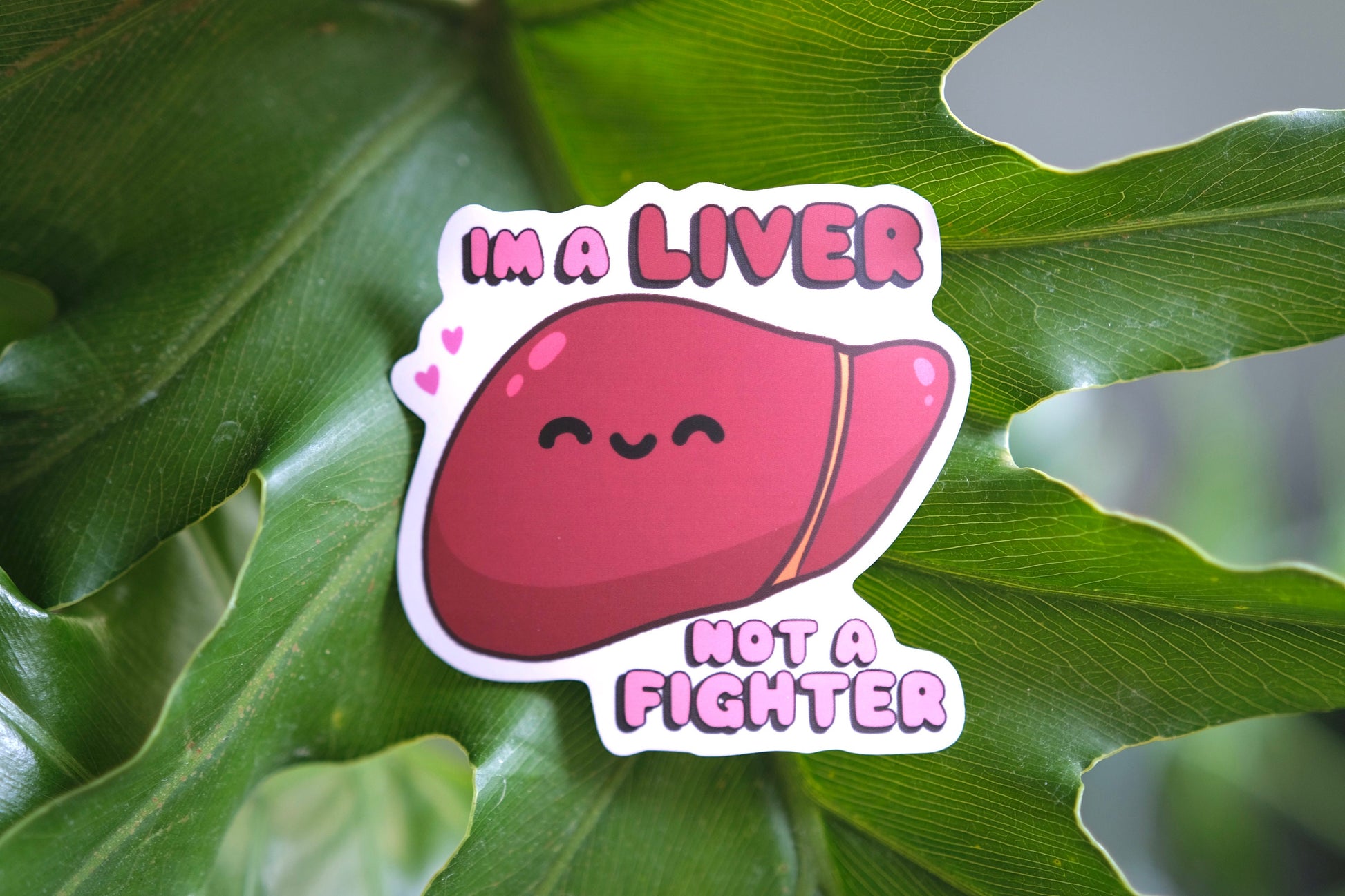 Liver, Not a Fighter - Vinyl Anatomy Stickers